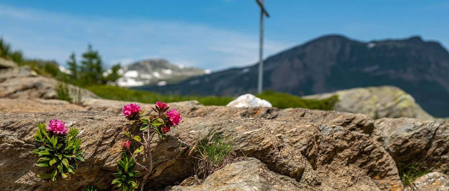 Pilgern ViaFr Simplon Stockalperweg 