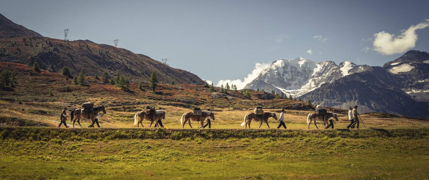 Säumer Trekking Stockalperweg auf dem Simplonpass