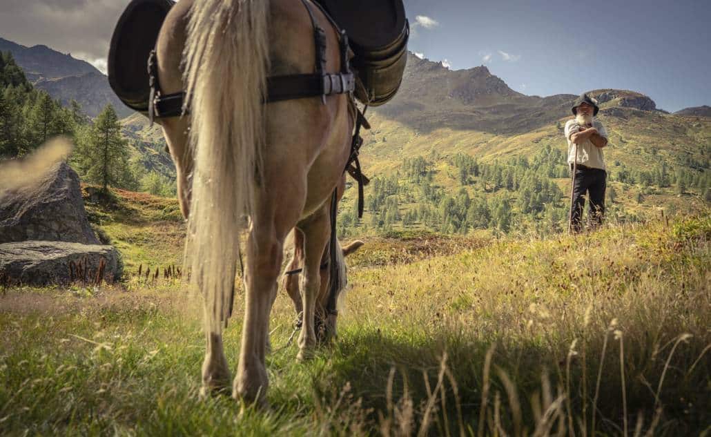 Säumer Trekking ViaStockalper